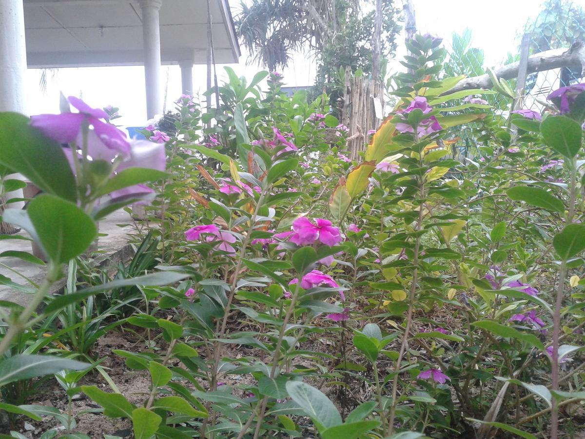 Pandan Beach Homestay Kampong Pandan Eksteriør bilde