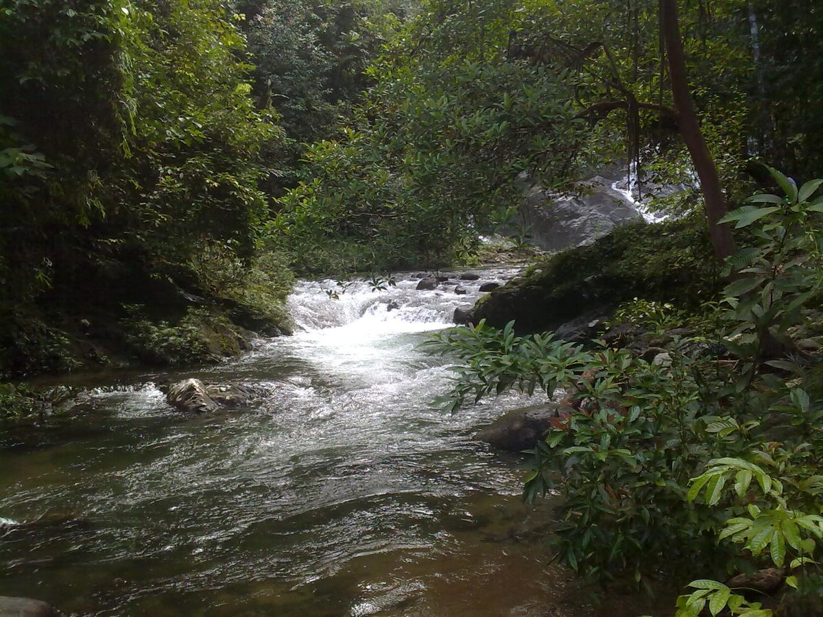 Pandan Beach Homestay Kampong Pandan Eksteriør bilde